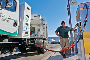 Market for HD Natural Gas Trucks Stalls