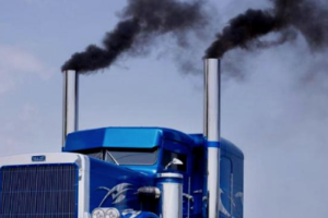 WWF to Help Freight Companies Reduce Emissions